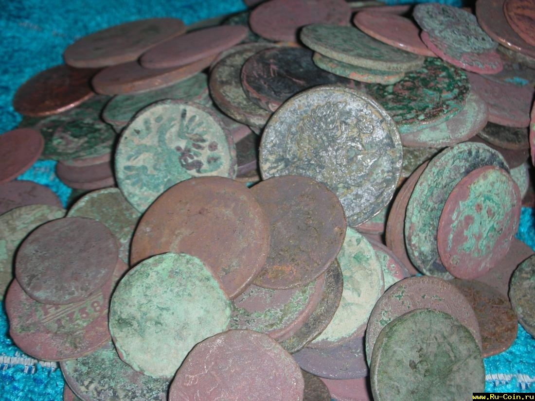 DSCN5573.JPG
