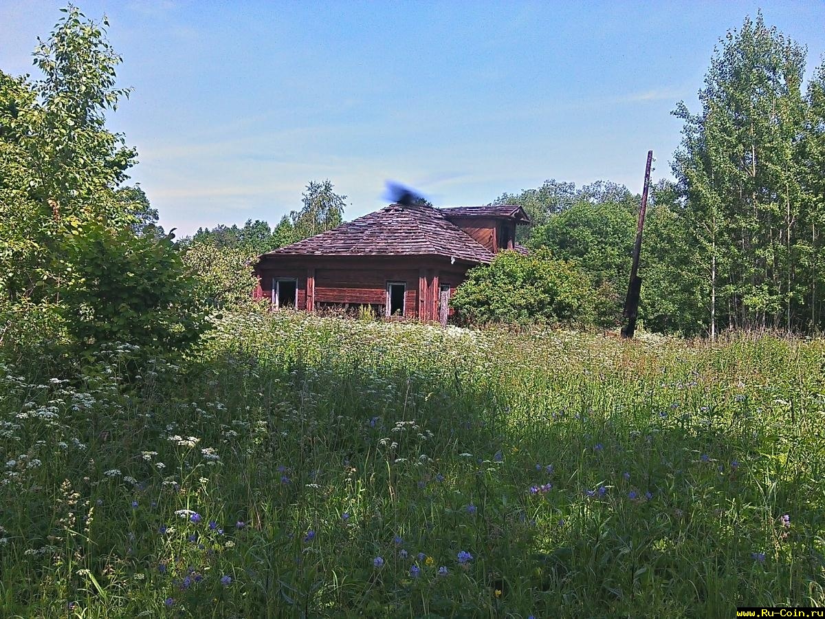 2015-06-20_11-17-56_HDR.jpg