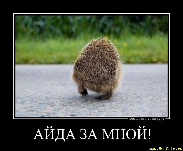 1405327195_AYDA-ZA-MNOY_bestdemotivators.ru.jpg