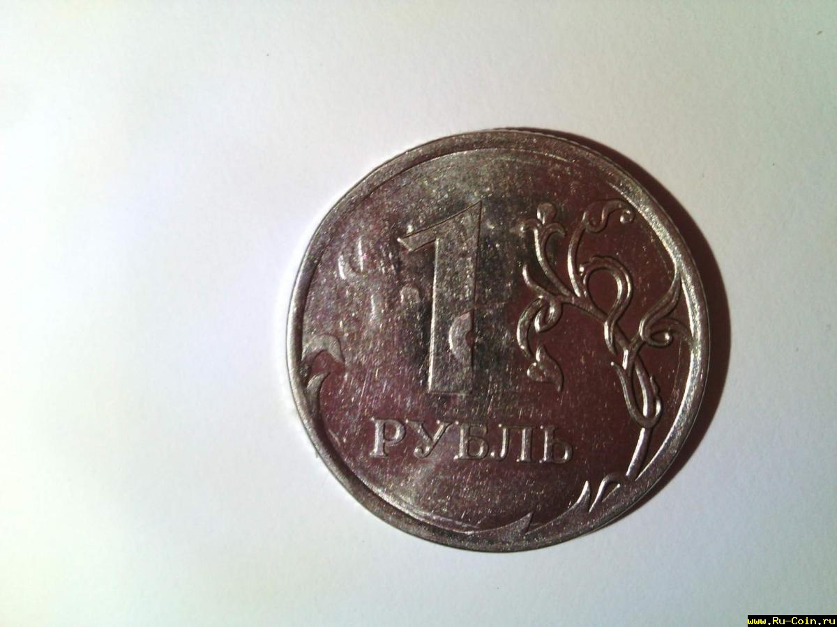 image (11).jpg