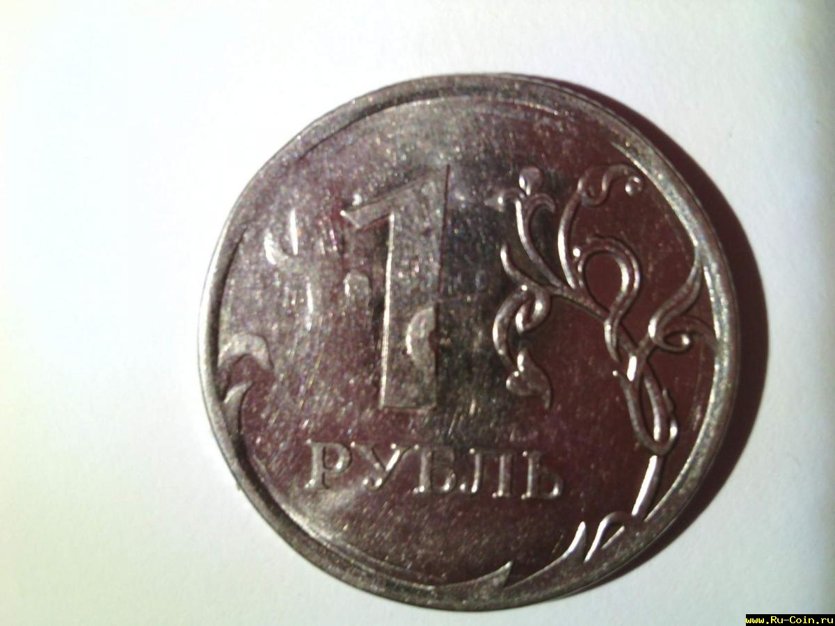 image (11)1.jpg