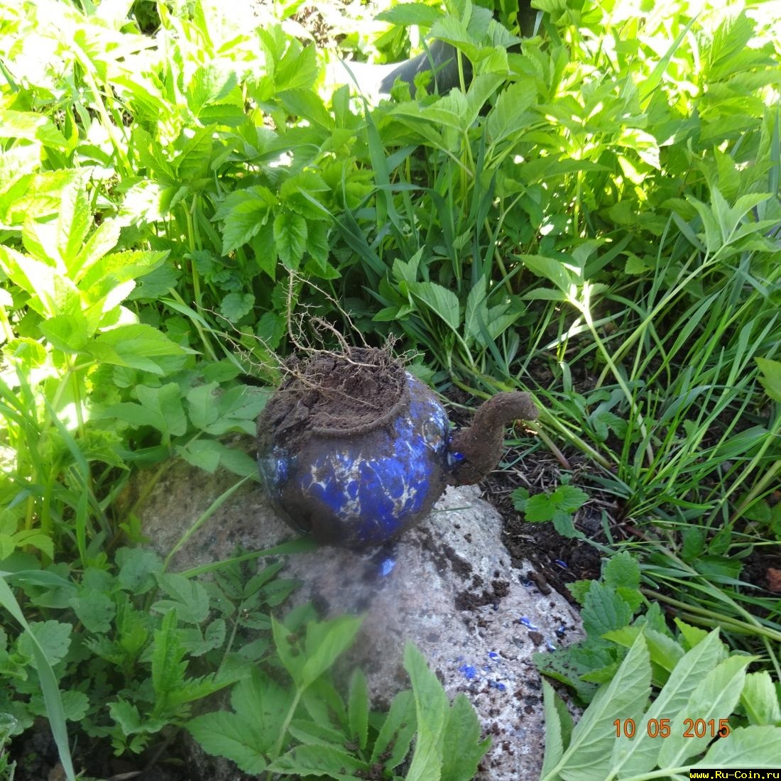 DSC00643.JPG