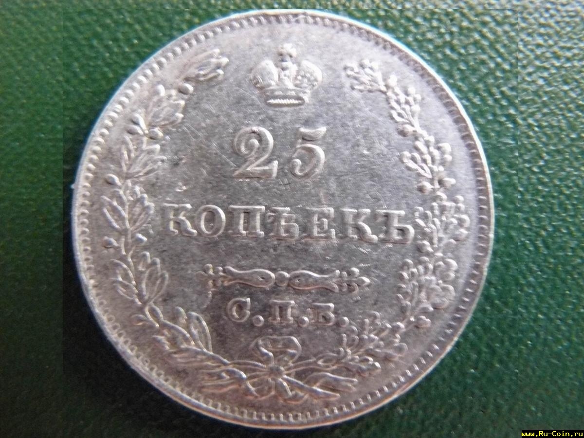 P1000855.JPG