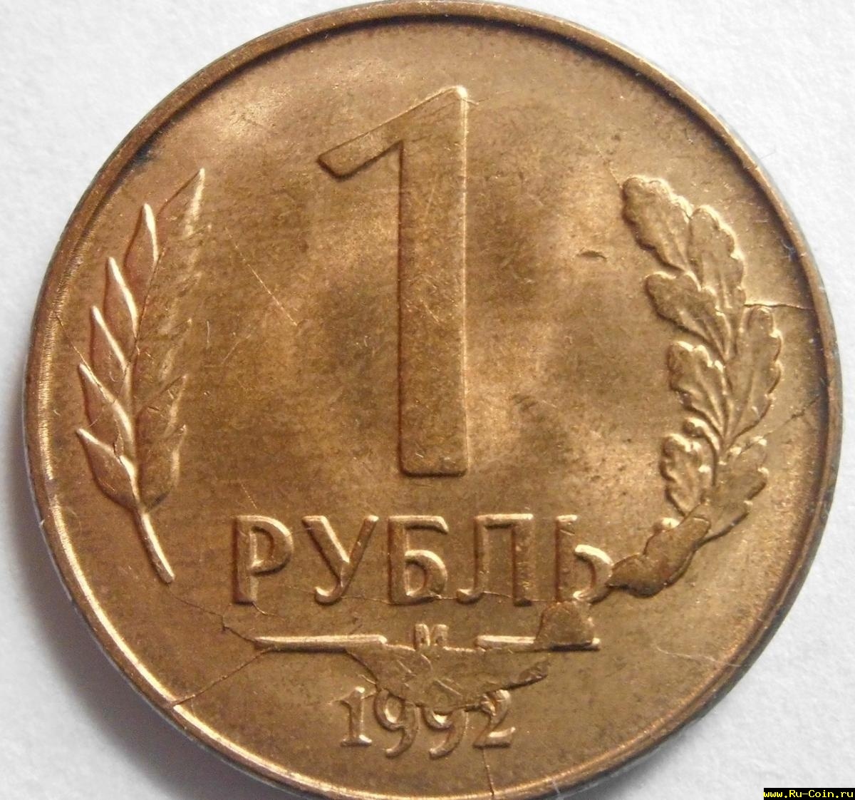01.JPG