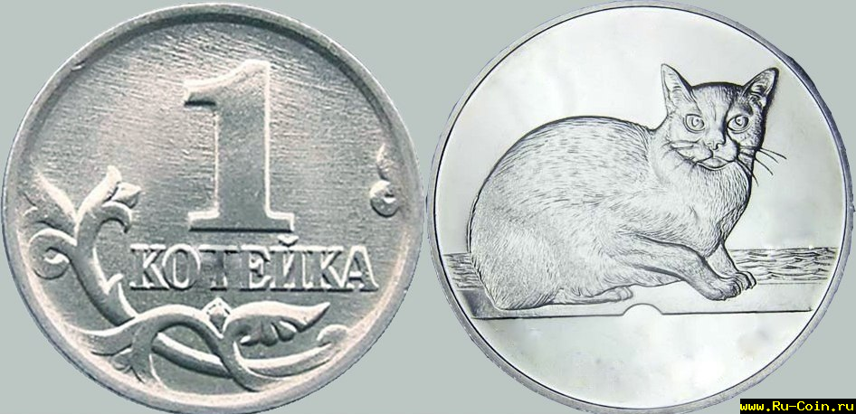 одна котейка.png