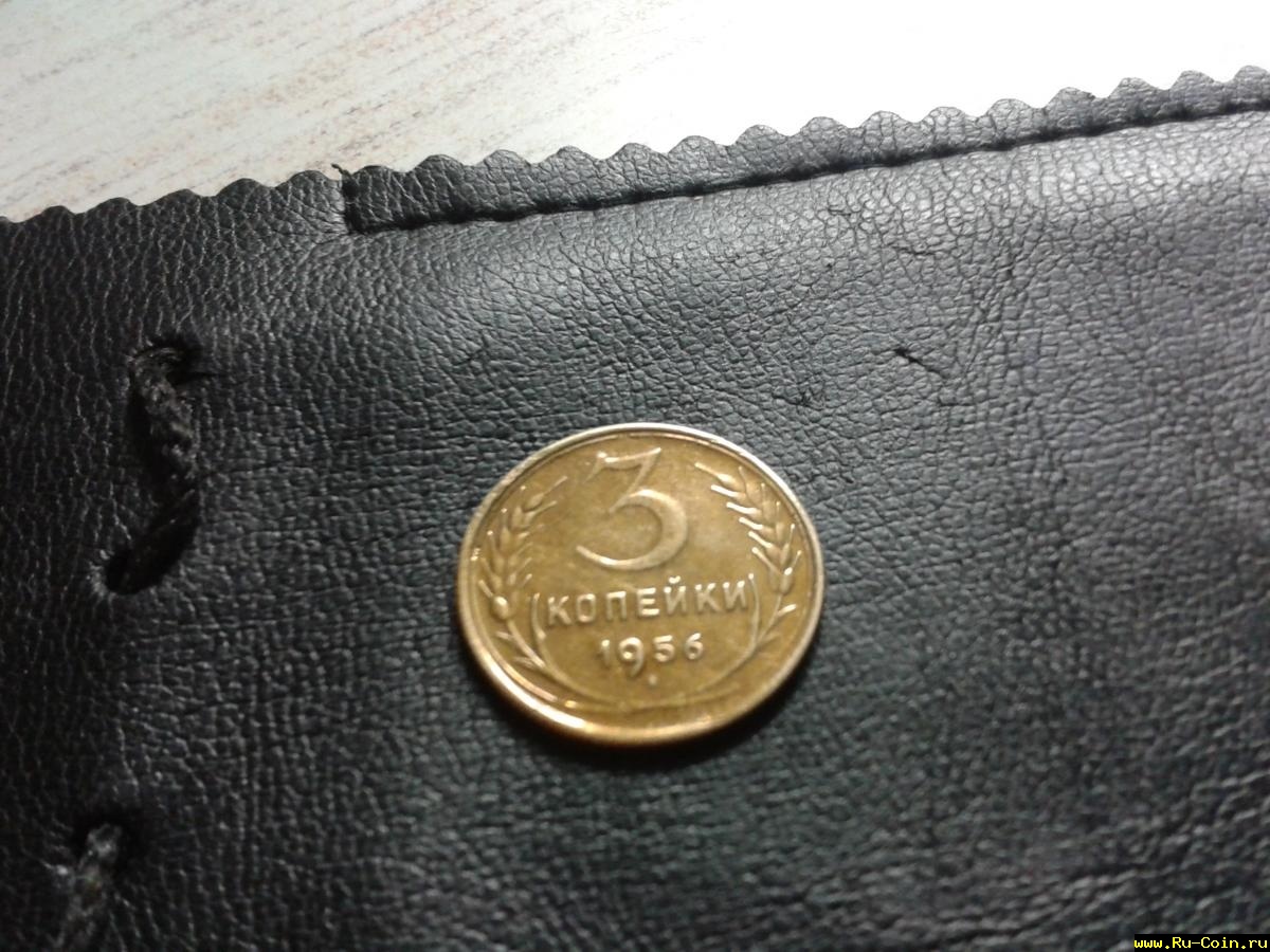 2016-08-31 19.34.36.jpg