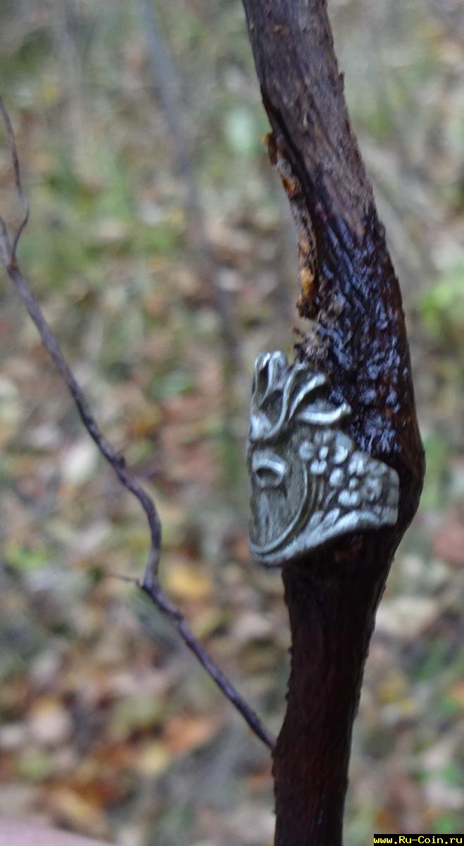 Перстенек 003.JPG