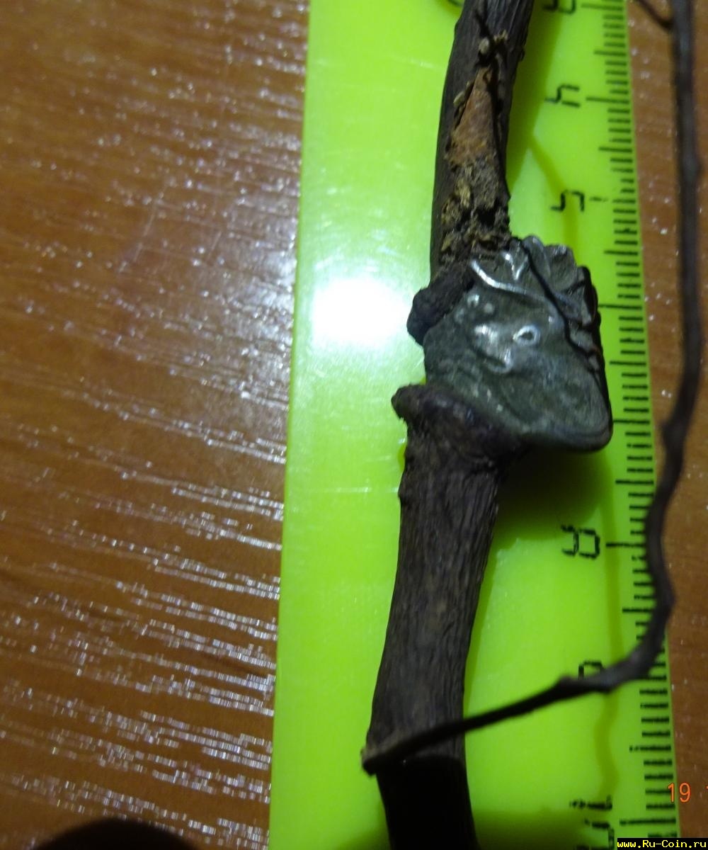 перст 2 002.JPG