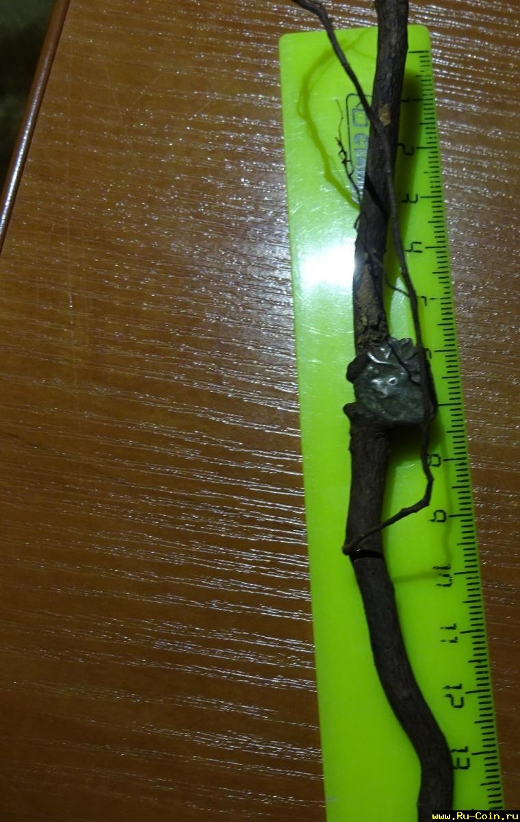 перст 2 001.JPG