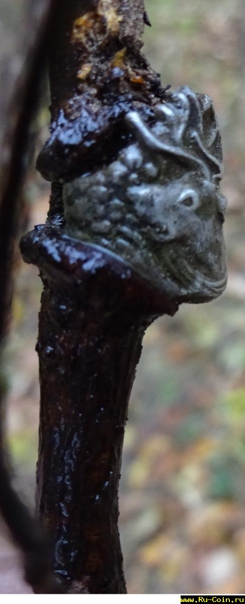 Перстенек 007.JPG