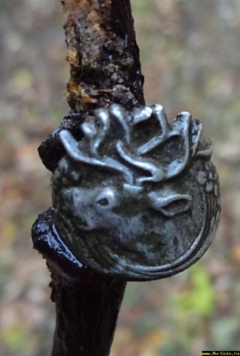 Перстенек 006.JPG