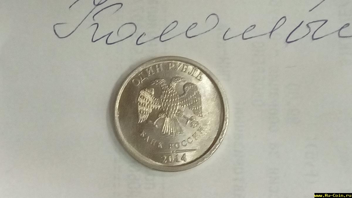1447444485389-108981048.jpg