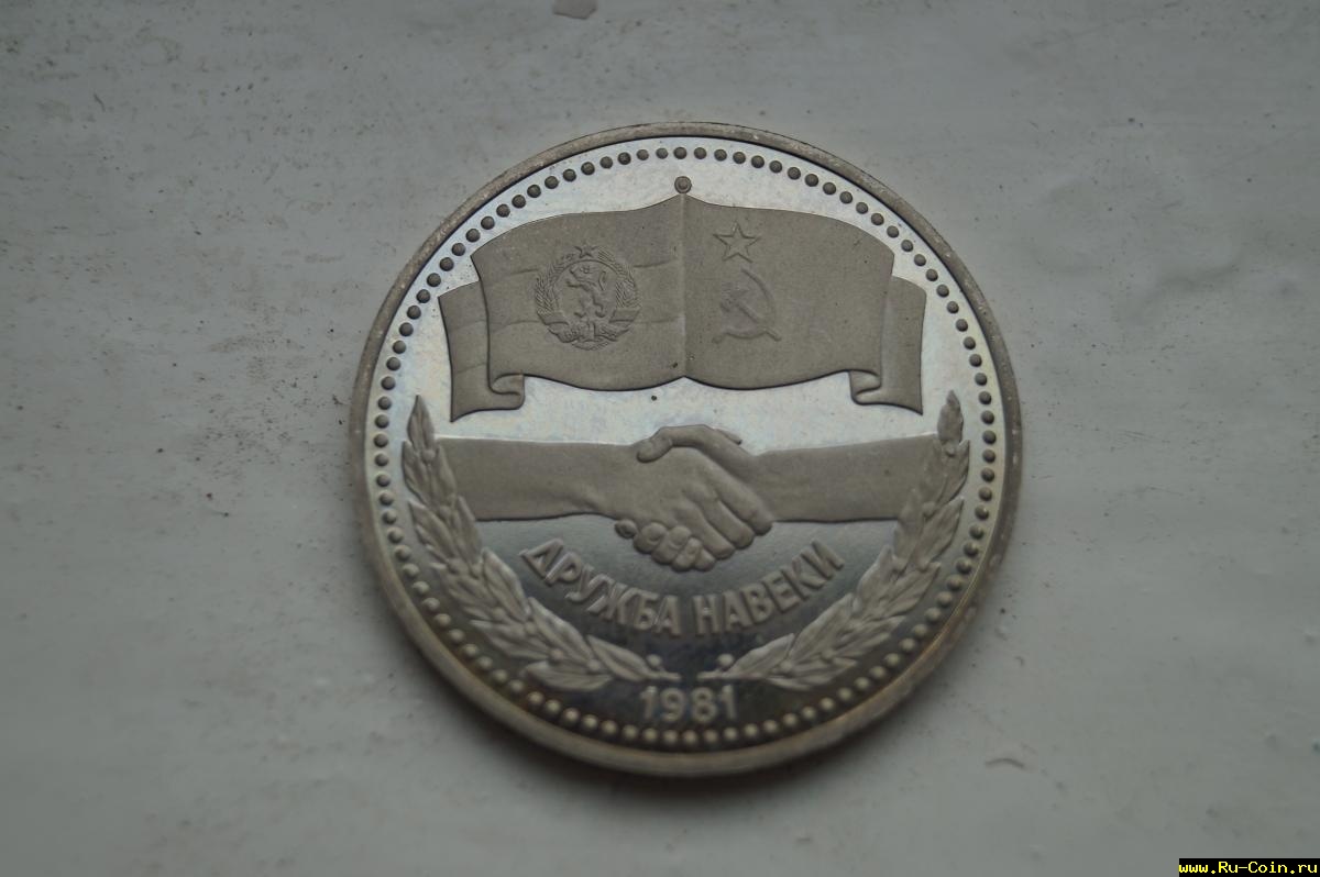 225.JPG