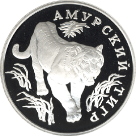 Серебряная юбилейная монета 1 рубль 1993 года Амурский тигр Серия : Красная книга