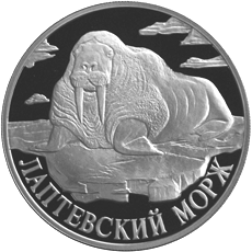 Серебряная  монета 1 рубль 1998 года Лаптевский морж