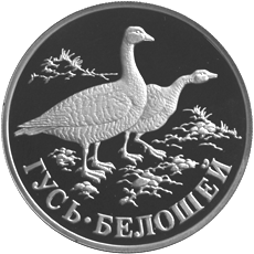 Серебряная  монета 1 рубль 1998 года Гусь-белошей