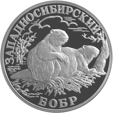 Серебряная юбилейная монета 1 рубль 2001 года Западносибирский бобр Красная книга