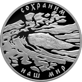 Серебряные юбилейные монеты России Речной бобр 3 рубля Серия: Сохраним наш мир