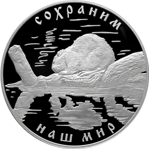 Серебряные юбилейные монеты России Речной бобр 25 рублей Серия: Сохраним наш мир